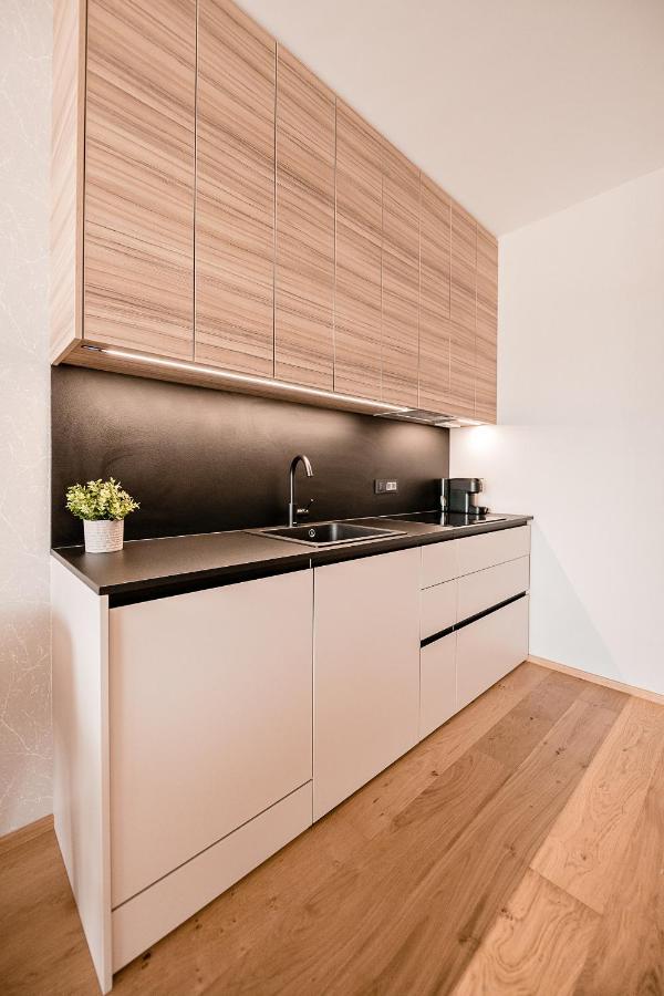 Sodoben Apartma V Centru Ljubljane 卢布尔雅那 外观 照片